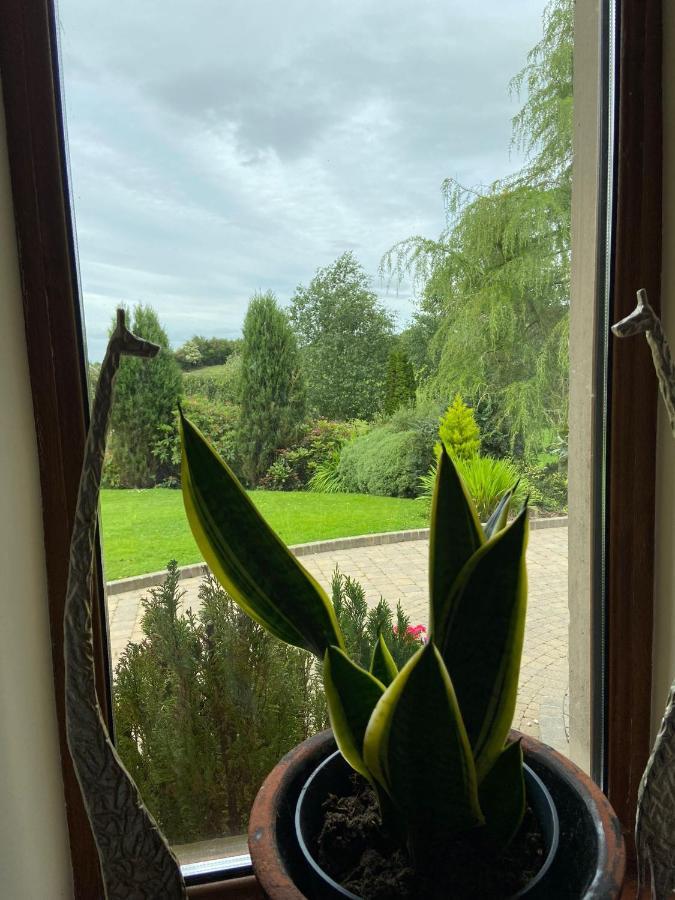 Bed & Breakfast Corness House Monaghan